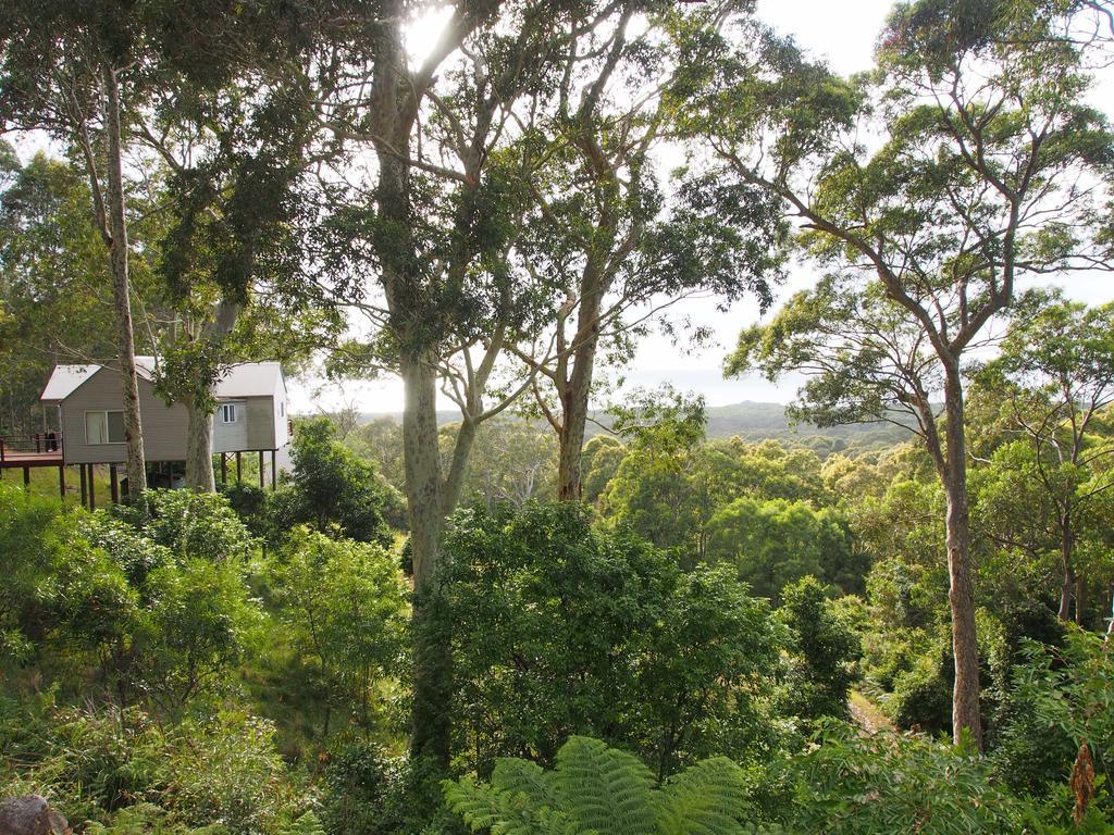באולי פוינט Bundle Hill Cottages חדר תמונה